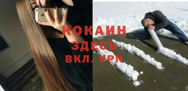 сатива Армянск